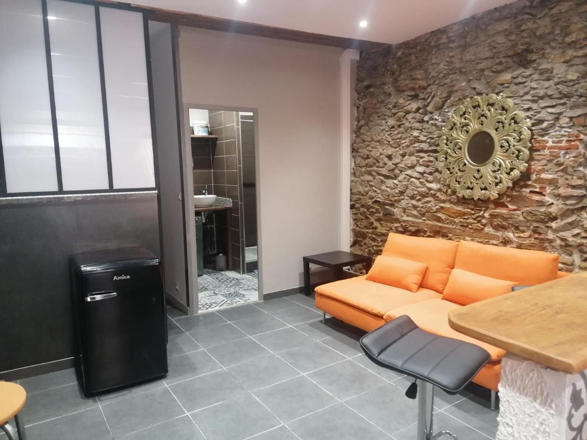 Du Bonheur Et Du Bon Air A Banyuls ! Apartment Luaran gambar